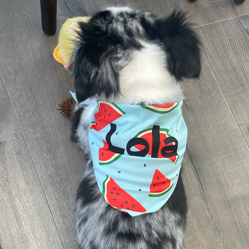 4 pack Custom dog bandanas!